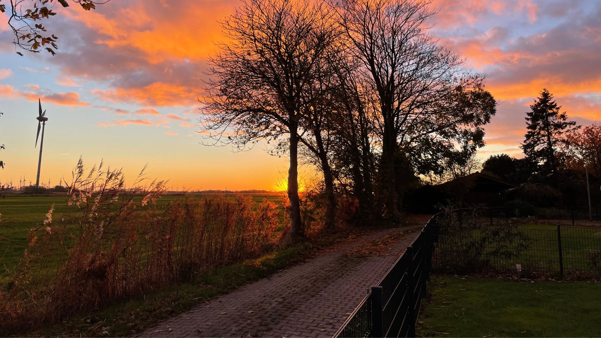 Aussicht von der Hauptterrasse