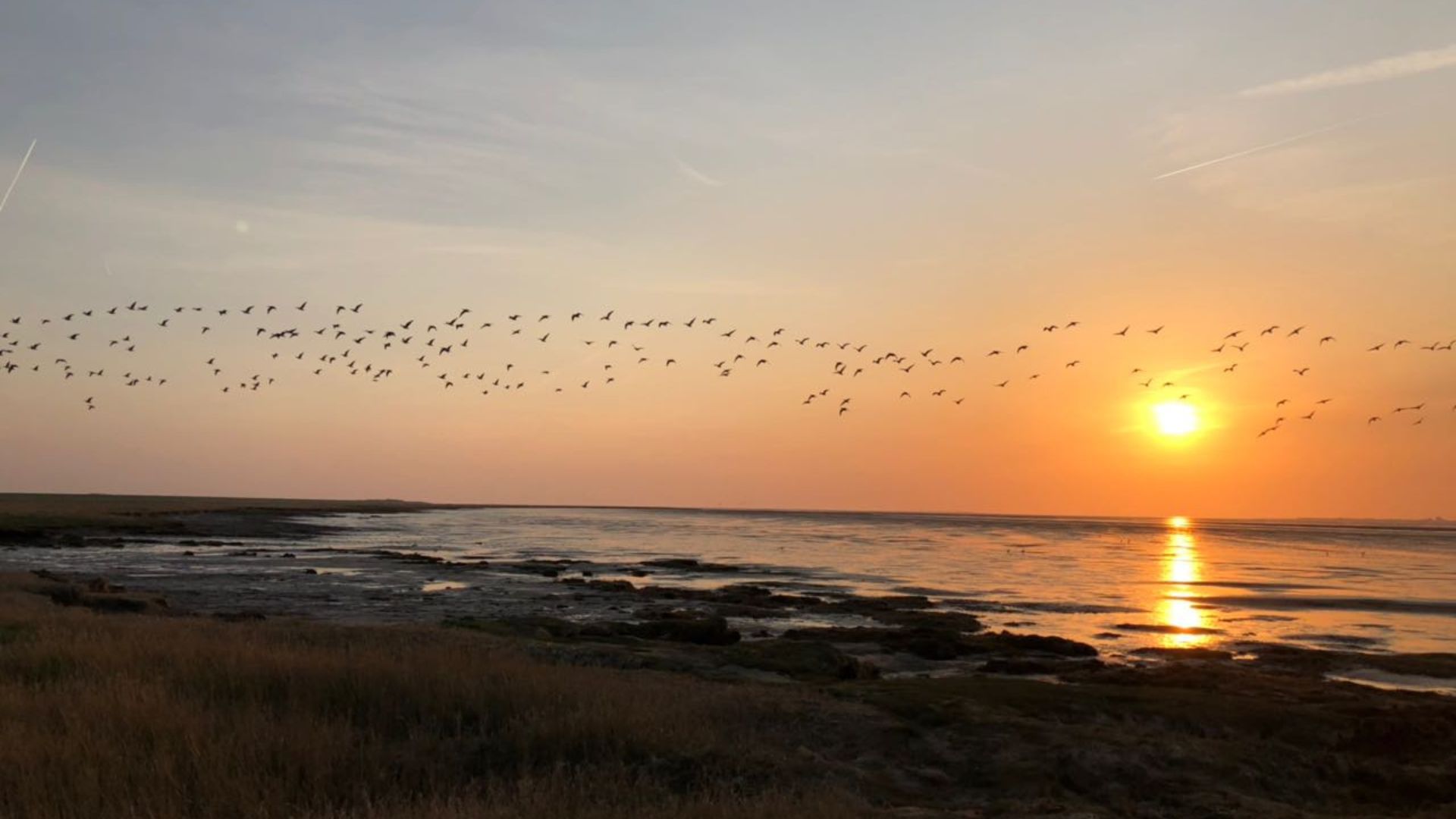 Naturstrand Hilgenriedersiel bei Sonnenuntergang